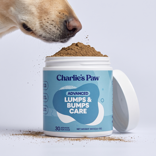 Advanced Lumps & Bumps Care – Bundles